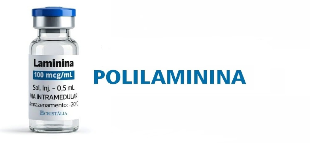 Polilaminina: a descoberta brasileira que pode mudar para sempre o futuro das lesões na medula 8 Frasco de vidro transparente da medicação Polilaminina 100 mcg/mL com tampa azul sobre fundo branco.