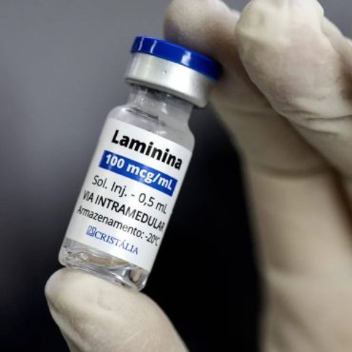 Polilaminina: a descoberta brasileira que pode mudar para sempre o futuro das lesões na medula 25 Mão com luva cirúrgica segurando frasco de Polilaminina em ambiente médico ou laboratorial.