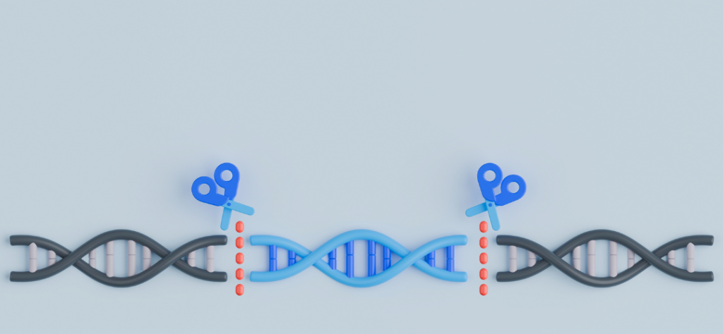 Edição genética e o futuro do corpo humano